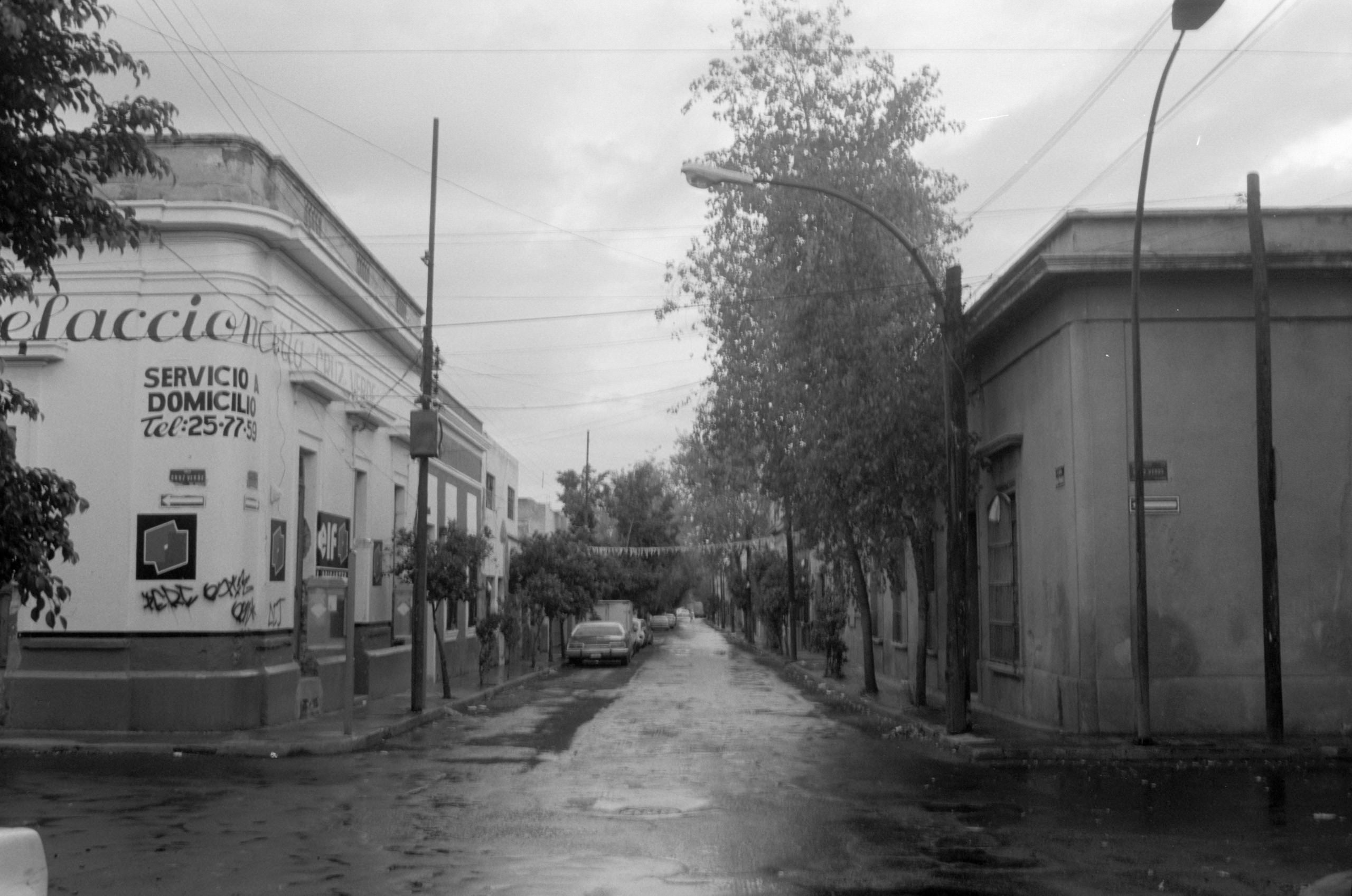 AHP FilmScan 240807 0446